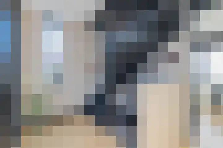 Laan van Aïda 2 Nieuw-Vennep thumbnail 32