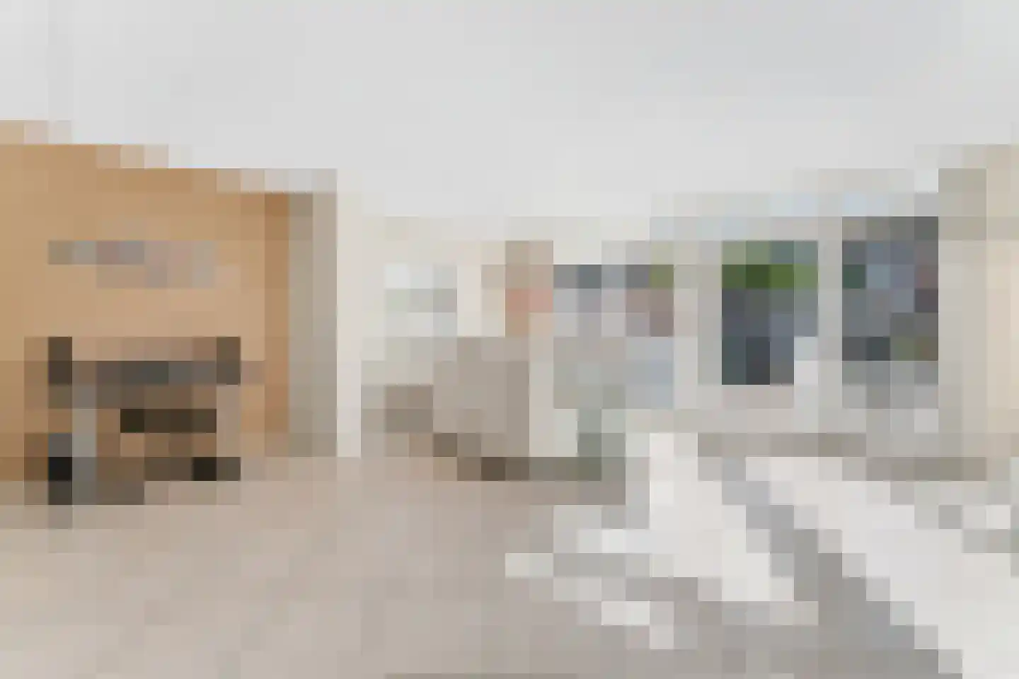 Laan van Aïda 20 Nieuw-Vennep thumbnail 29