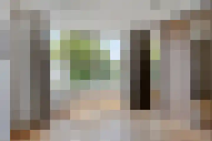 Laan van Albert's Hoeve 135 Castricum thumbnail 11