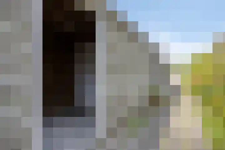 Laan van Albert's Hoeve 135 Castricum thumbnail 19