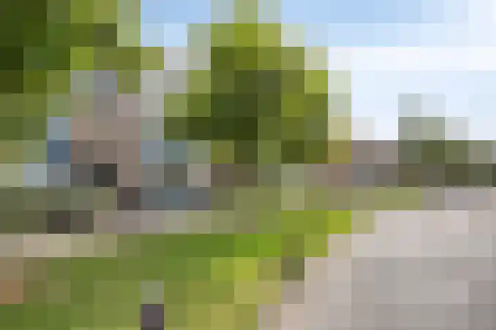 Laan van Albert's Hoeve 135 Castricum thumbnail 21