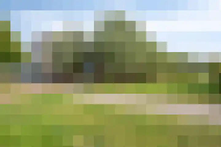 Laan van Albert's Hoeve 135 Castricum thumbnail 22