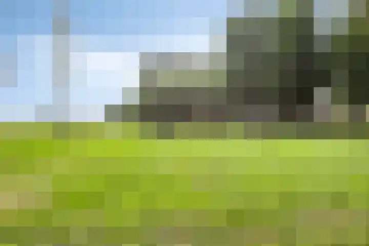 Laan van Albert's Hoeve 135 Castricum thumbnail 23