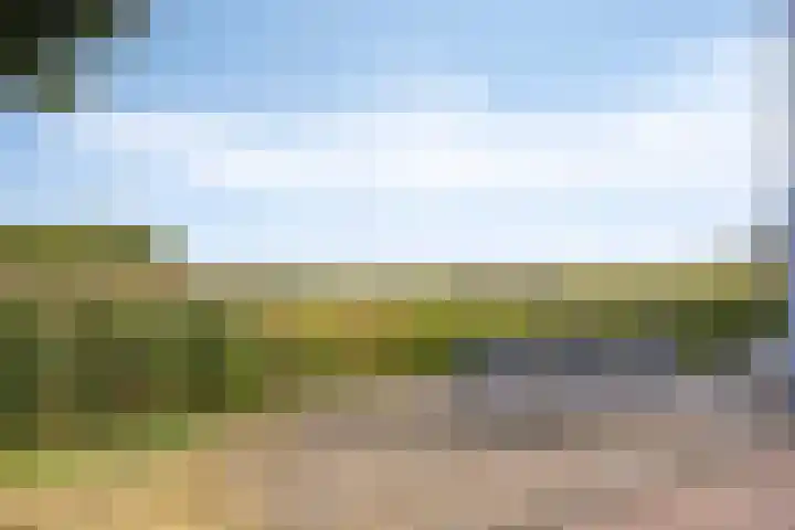 Laan van Albert's Hoeve 135 Castricum thumbnail 24