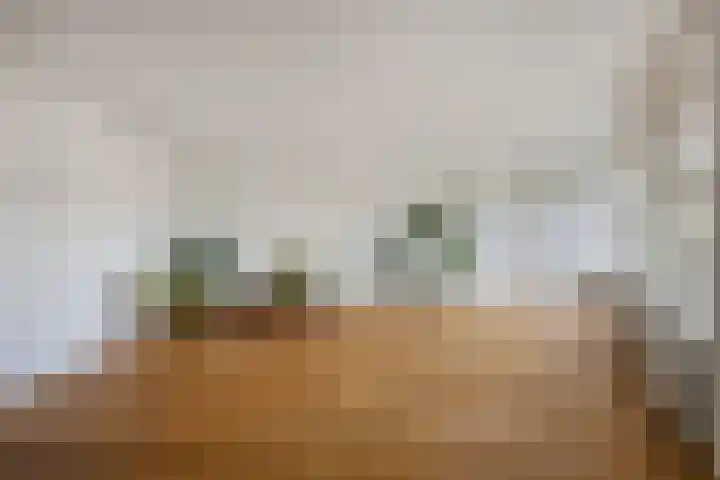 Laan van Albert's Hoeve 135 Castricum thumbnail 5