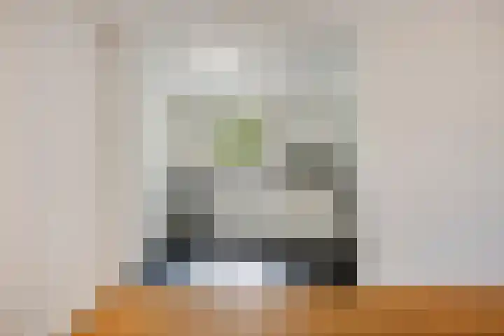 Laan van Albert's Hoeve 135 Castricum thumbnail 7
