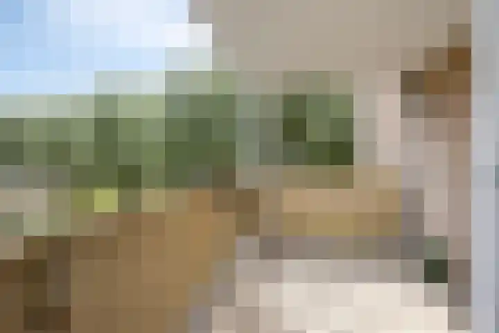Laan van Albert's Hoeve 135 Castricum thumbnail 8