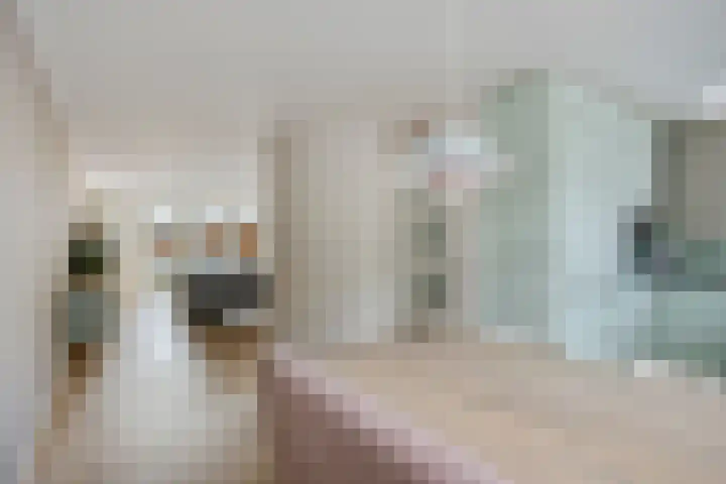 Laan van Albert's Hoeve 31 Castricum thumbnail 15