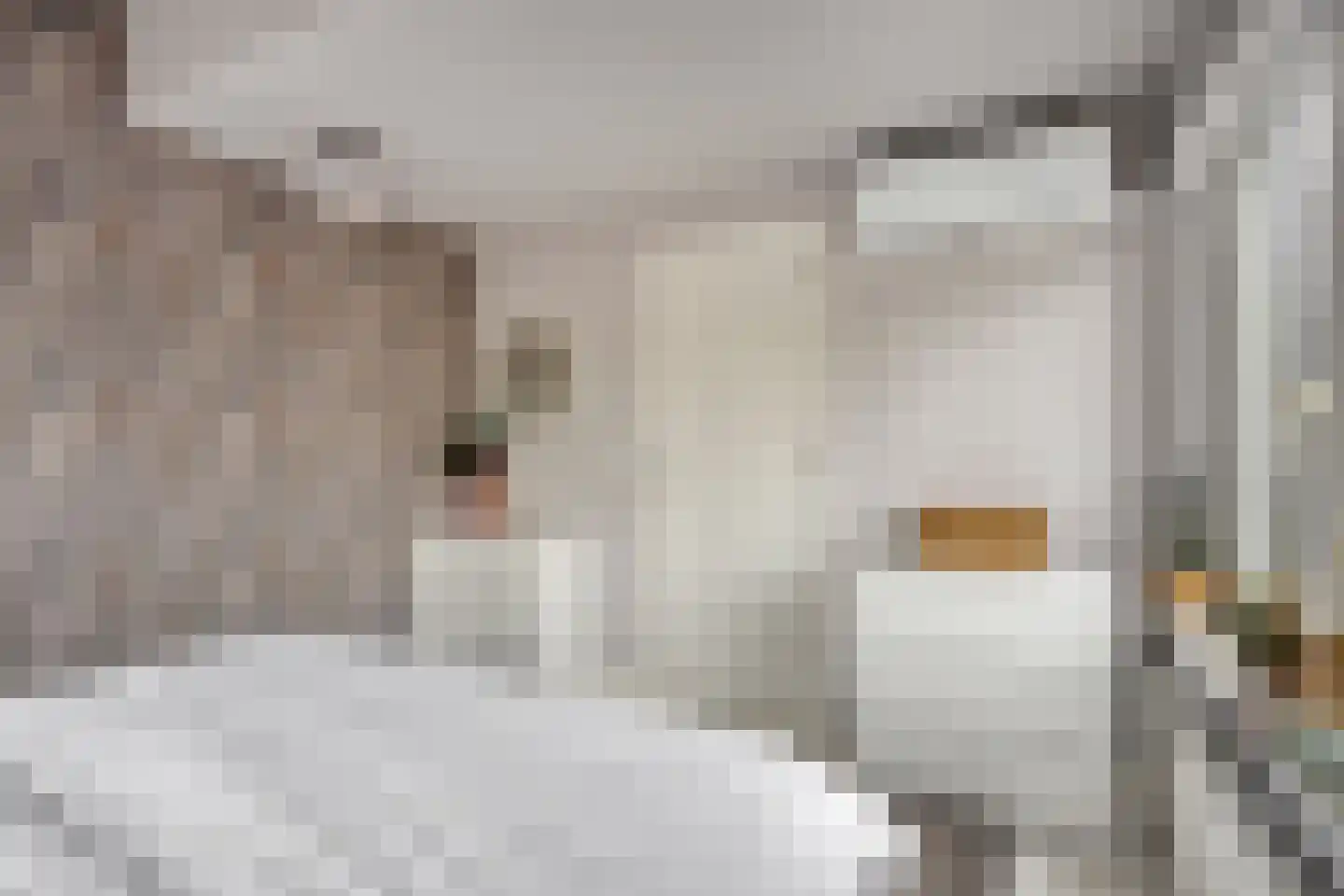 Laan van Albert's Hoeve 31 Castricum thumbnail 31