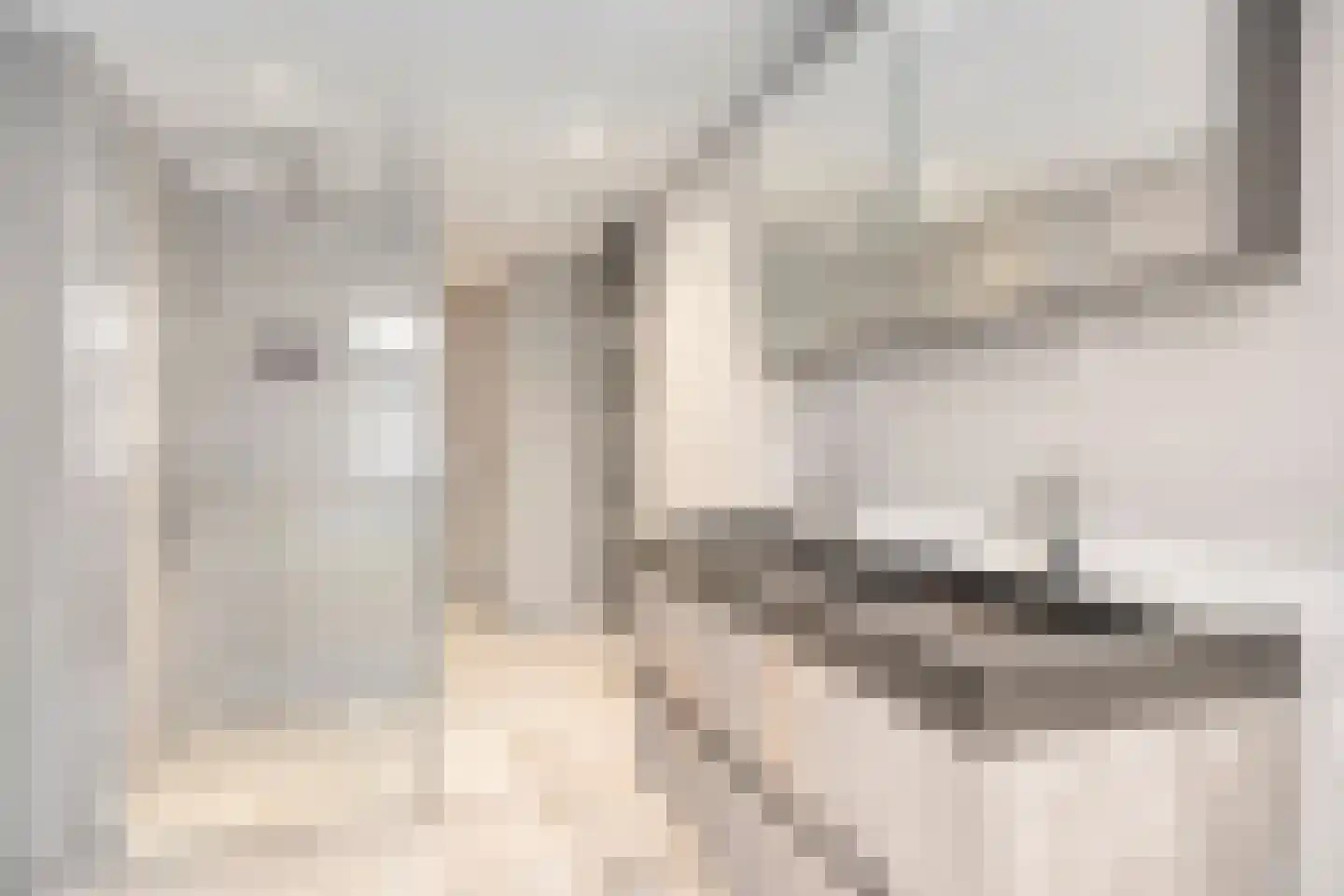 Laan van Albert's Hoeve 31 Castricum thumbnail 32