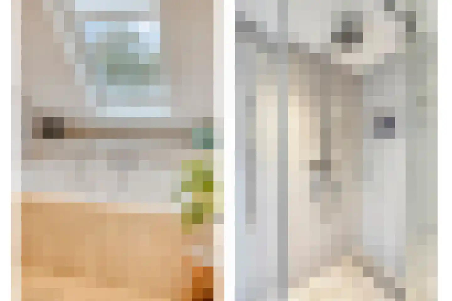 Laan van Albert's Hoeve 31 Castricum thumbnail 33
