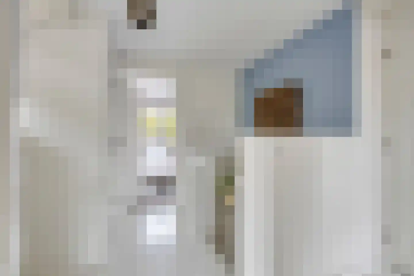 Laan van Albert's Hoeve 31 Castricum thumbnail 39