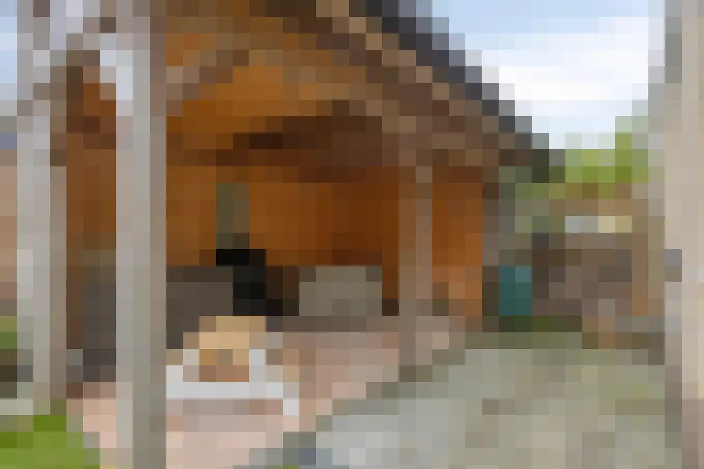 Laan van Albert's Hoeve 31 Castricum thumbnail 44