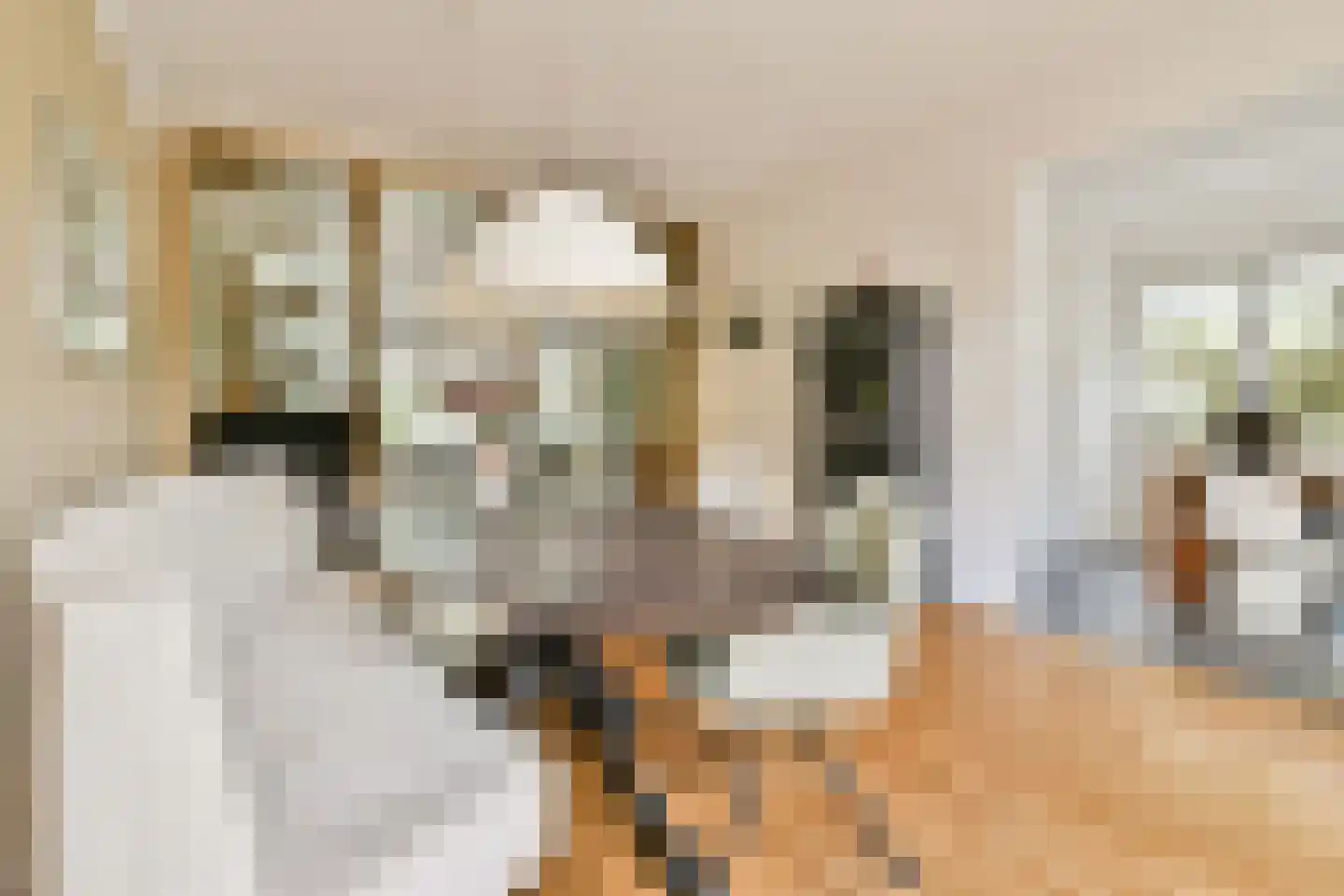 Laan van Alkemade 64 Oegstgeest thumbnail 11