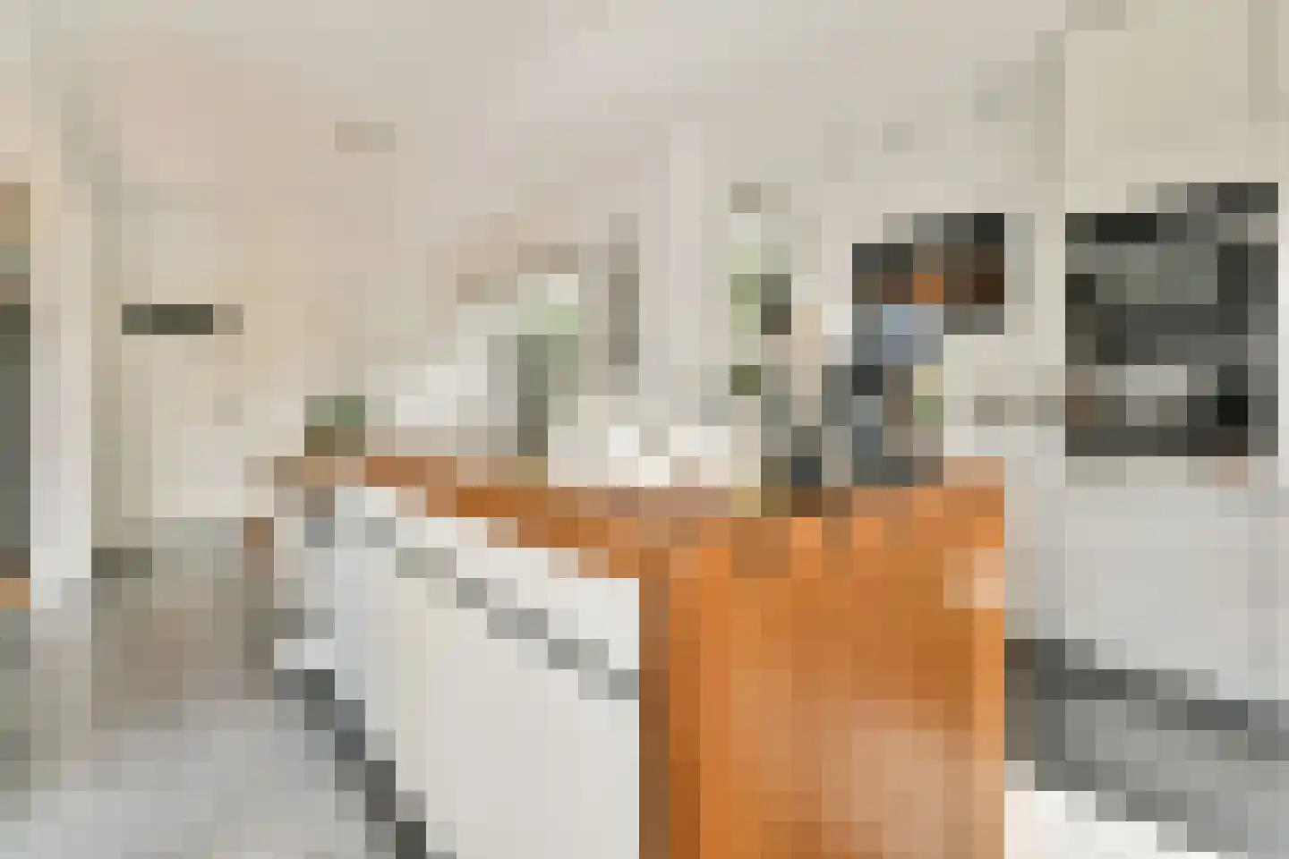 Laan van Alkemade 64 Oegstgeest thumbnail 12