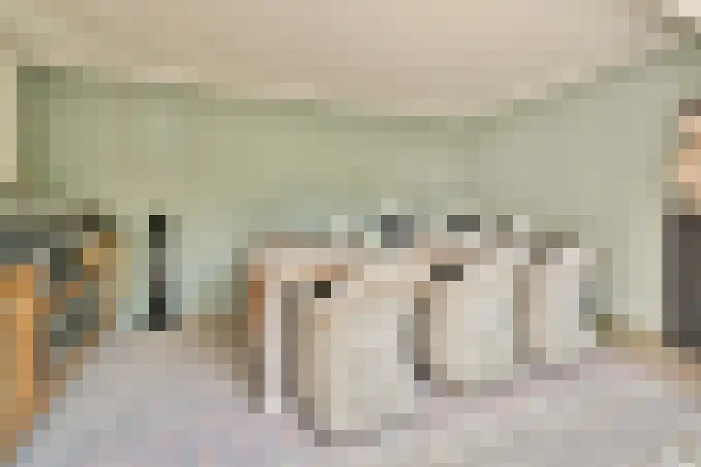 Laan van Alkemade 64 Oegstgeest thumbnail 16