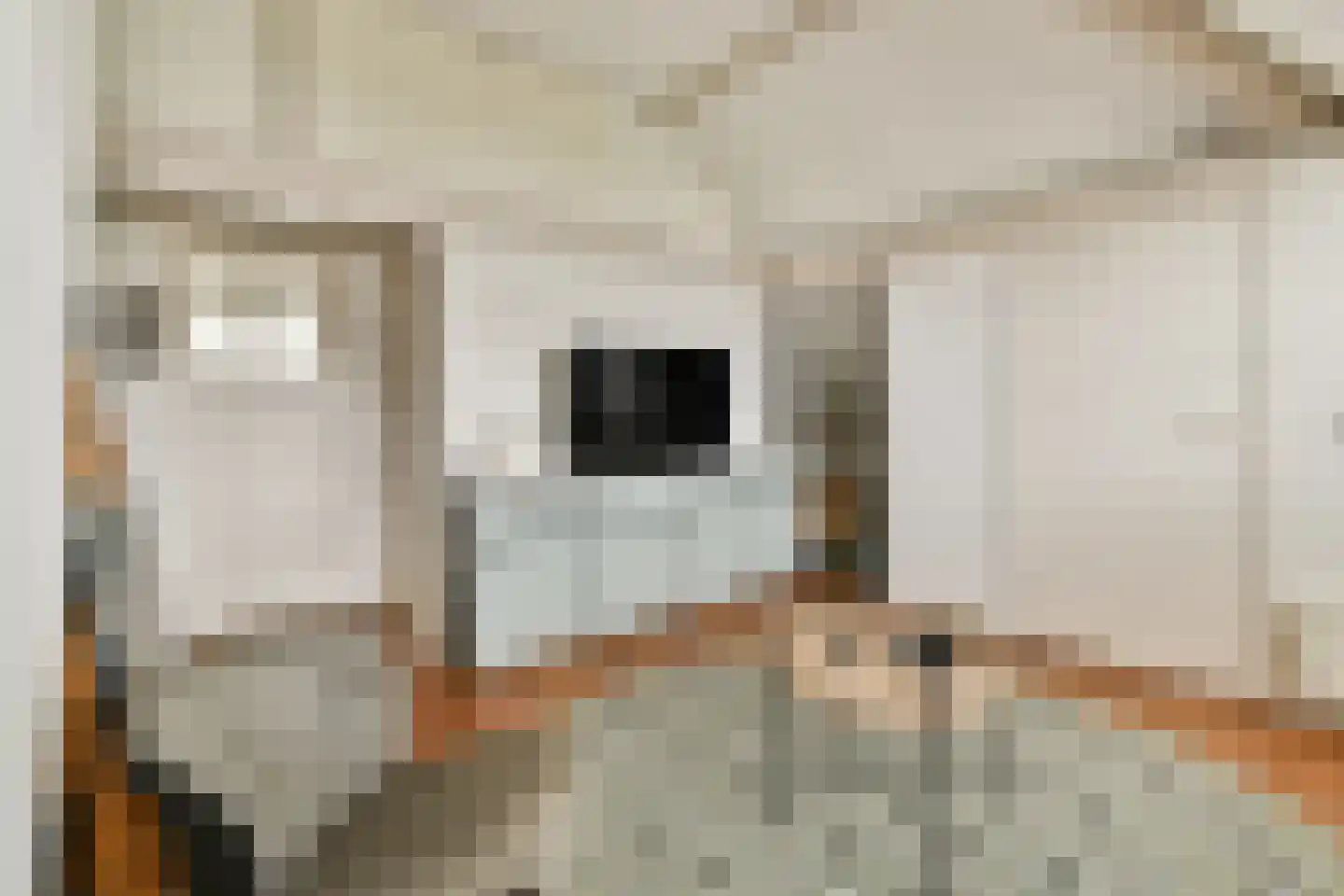 Laan van Alkemade 64 Oegstgeest thumbnail 28