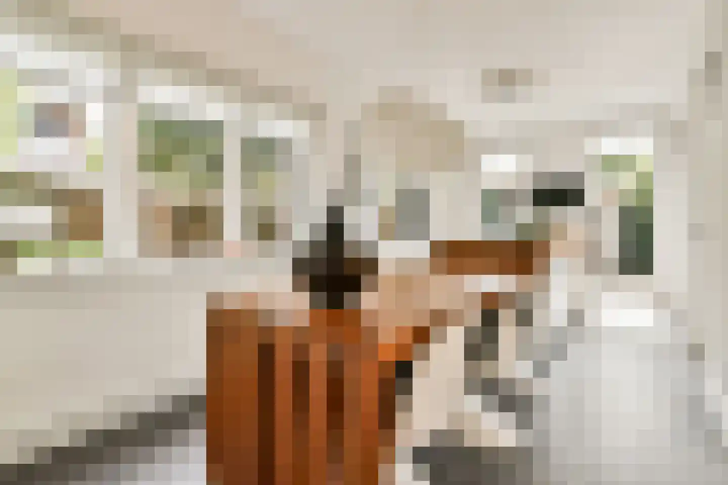 Laan van Alkemade 64 Oegstgeest foto 3
