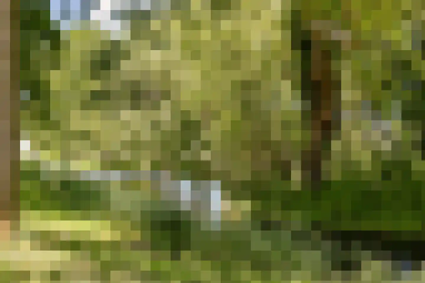 Laan van Alkemade 64 Oegstgeest thumbnail 31