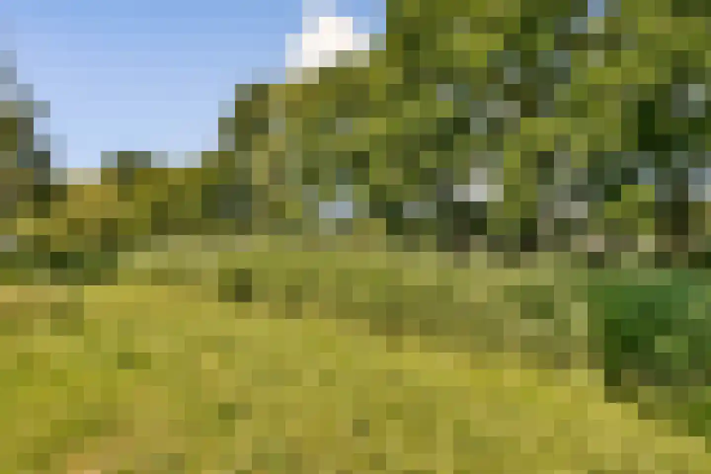 Laan van Alkemade 64 Oegstgeest thumbnail 32