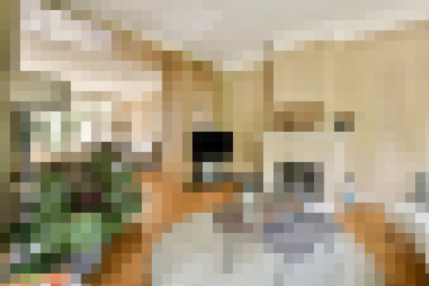 Laan van Alkemade 64 Oegstgeest thumbnail 9