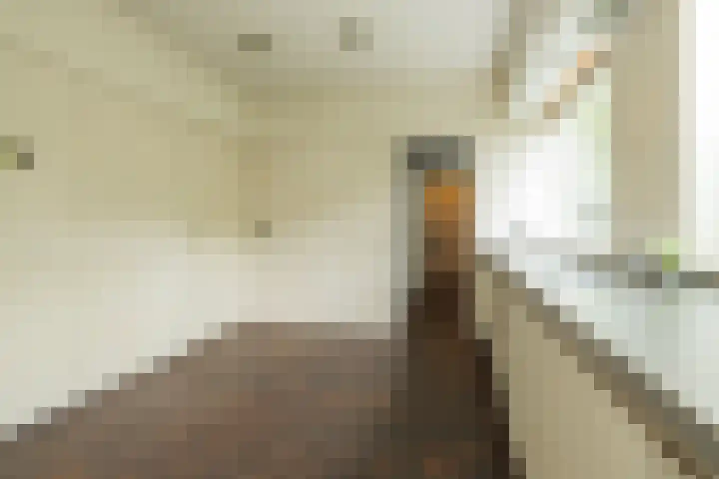 Laan van Alkemade 7 Oegstgeest thumbnail 15