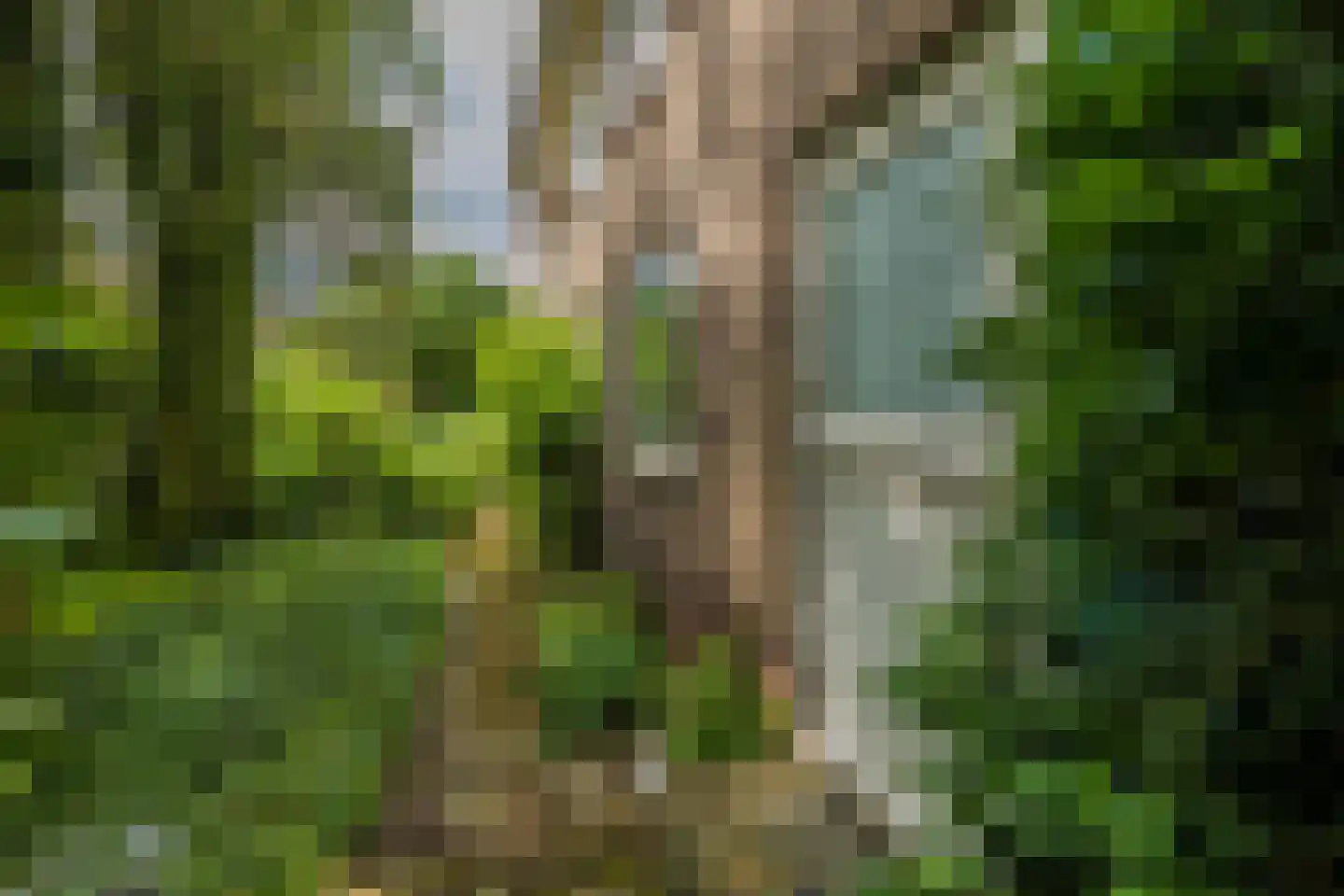 Laan van Alkemade 7 Oegstgeest thumbnail 19