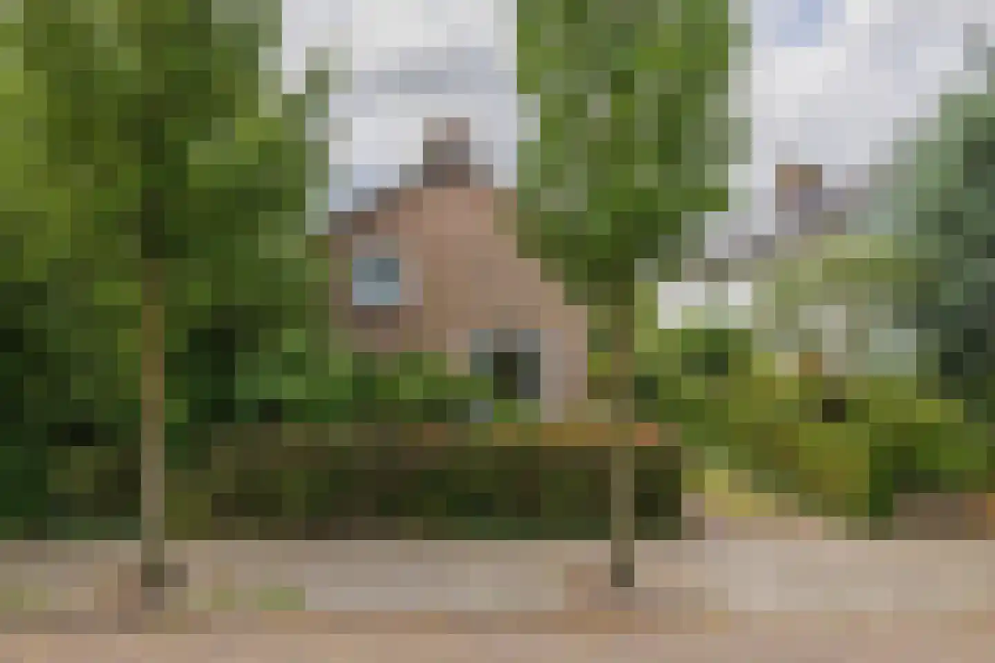 Laan van Alkemade 7 Oegstgeest foto 3