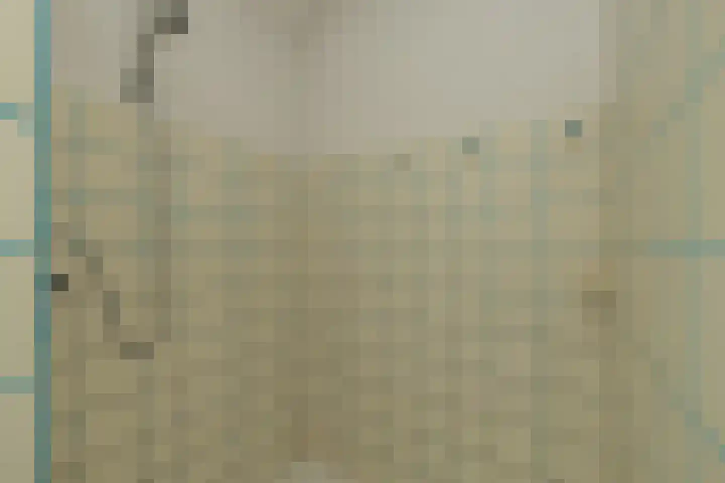 Laan van Alkemade 7 Oegstgeest thumbnail 31