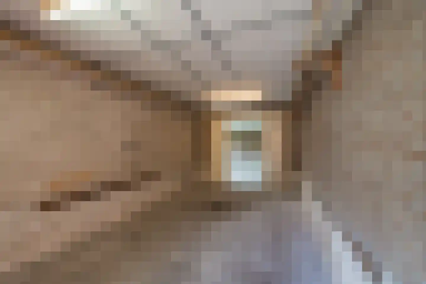 Laan van Alkemade 7 Oegstgeest thumbnail 52