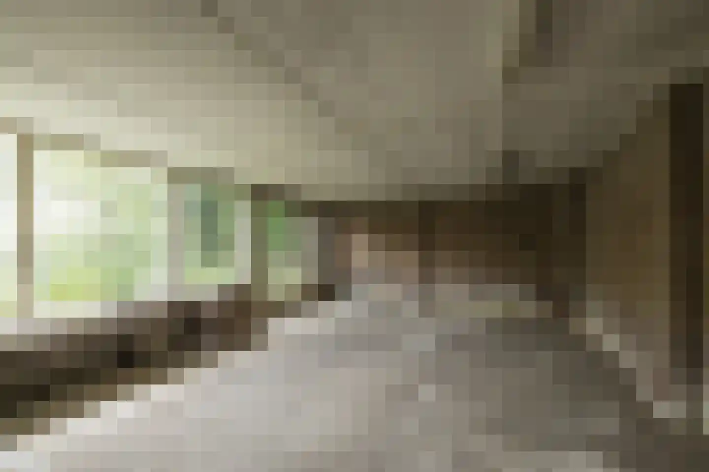 Laan van Alkemade 7 Oegstgeest thumbnail 53