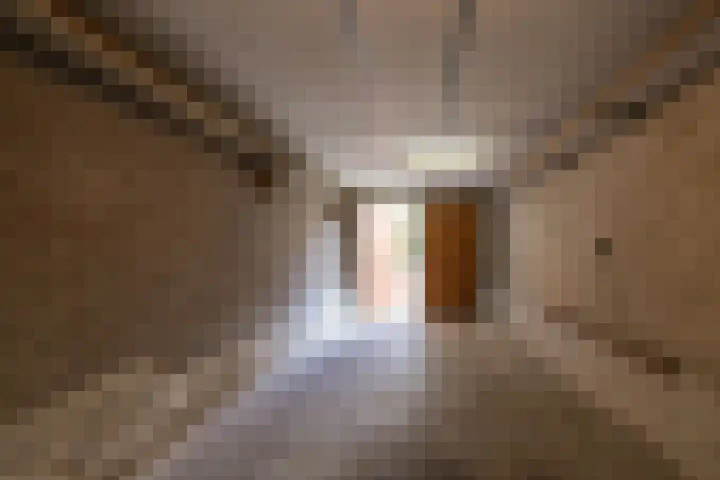 Laan van Alkemade 7 Oegstgeest thumbnail 54
