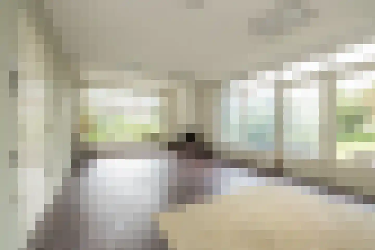 Laan van Alkemade 7 Oegstgeest thumbnail 8