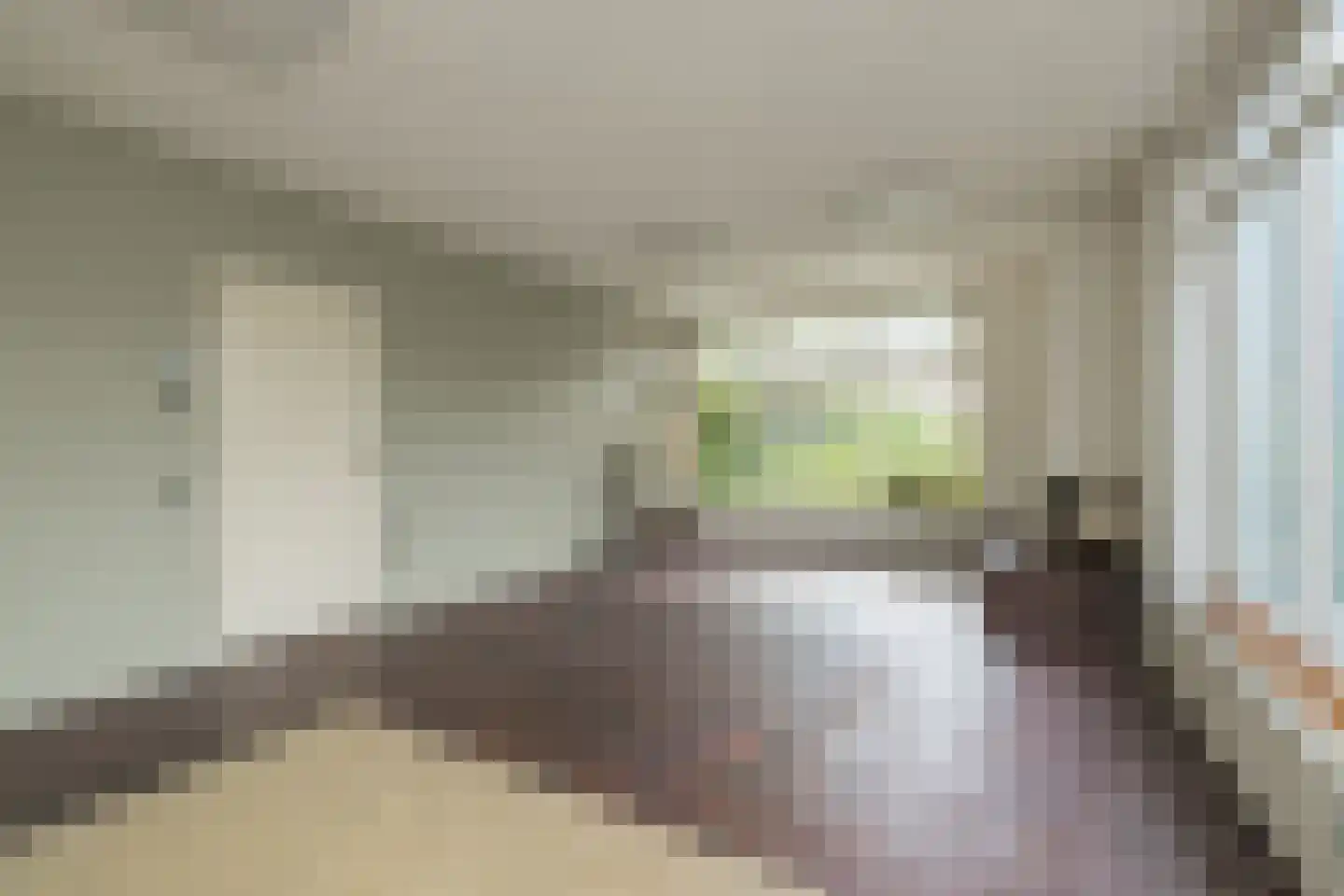 Laan van Alkemade 7 Oegstgeest thumbnail 9