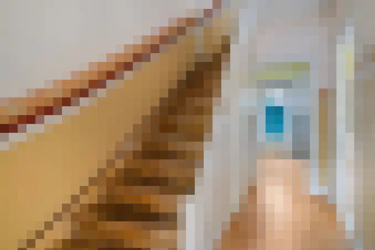 Laan van Altena 14 Delft thumbnail 5