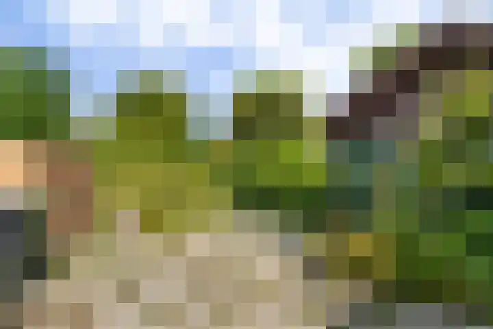 Laan van Altena 16 Delft thumbnail 14