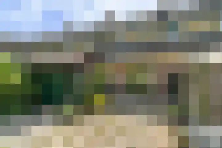 Laan van Altena 16 Delft thumbnail 15