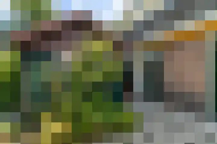 Laan van Altena 16 Delft thumbnail 16
