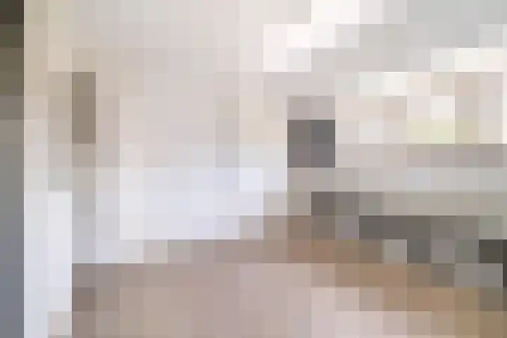 Laan van Altena 16 Delft thumbnail 18