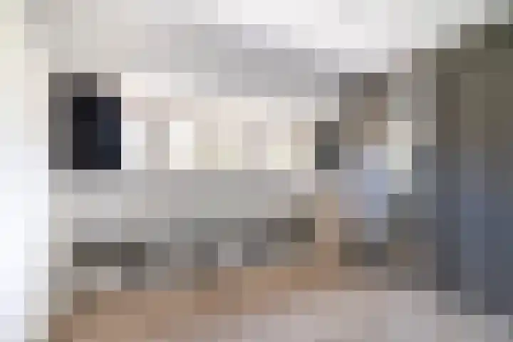 Laan van Altena 16 Delft thumbnail 19