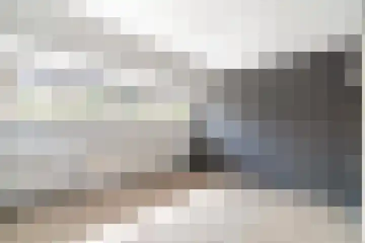 Laan van Altena 16 Delft thumbnail 21