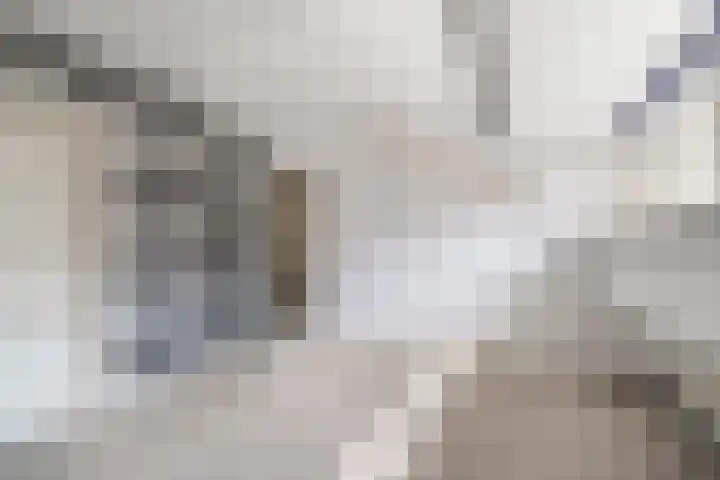 Laan van Altena 16 Delft thumbnail 22