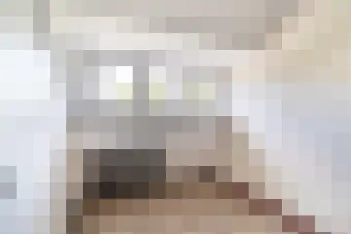 Laan van Altena 16 Delft thumbnail 23