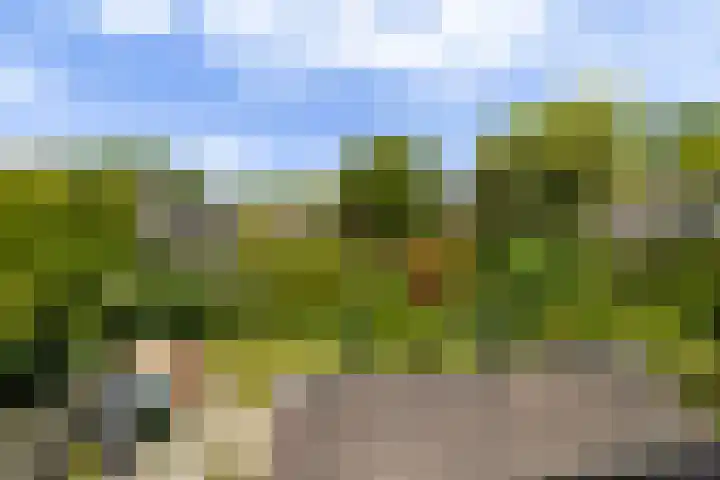 Laan van Altena 16 Delft thumbnail 28