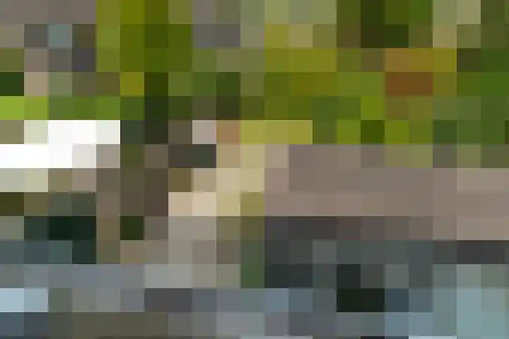 Laan van Altena 16 Delft thumbnail 29