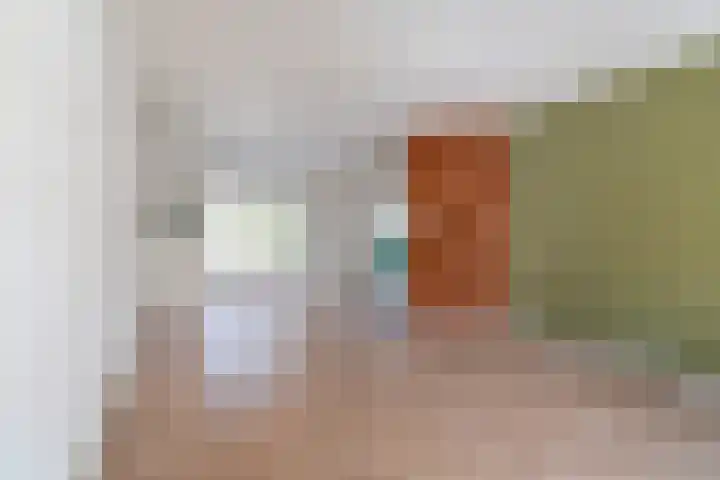 Laan van Altena 16 Delft thumbnail 8