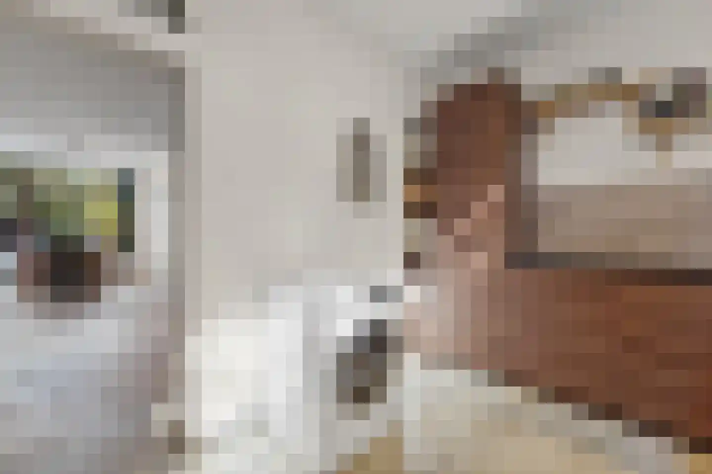 Laan van Altena 23 Delft thumbnail 12