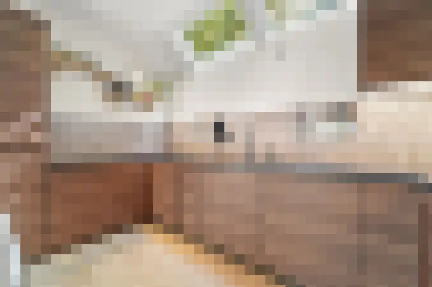 Laan van Altena 23 Delft thumbnail 13