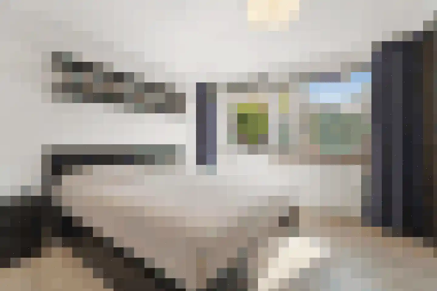 Laan van Altena 23 Delft thumbnail 24