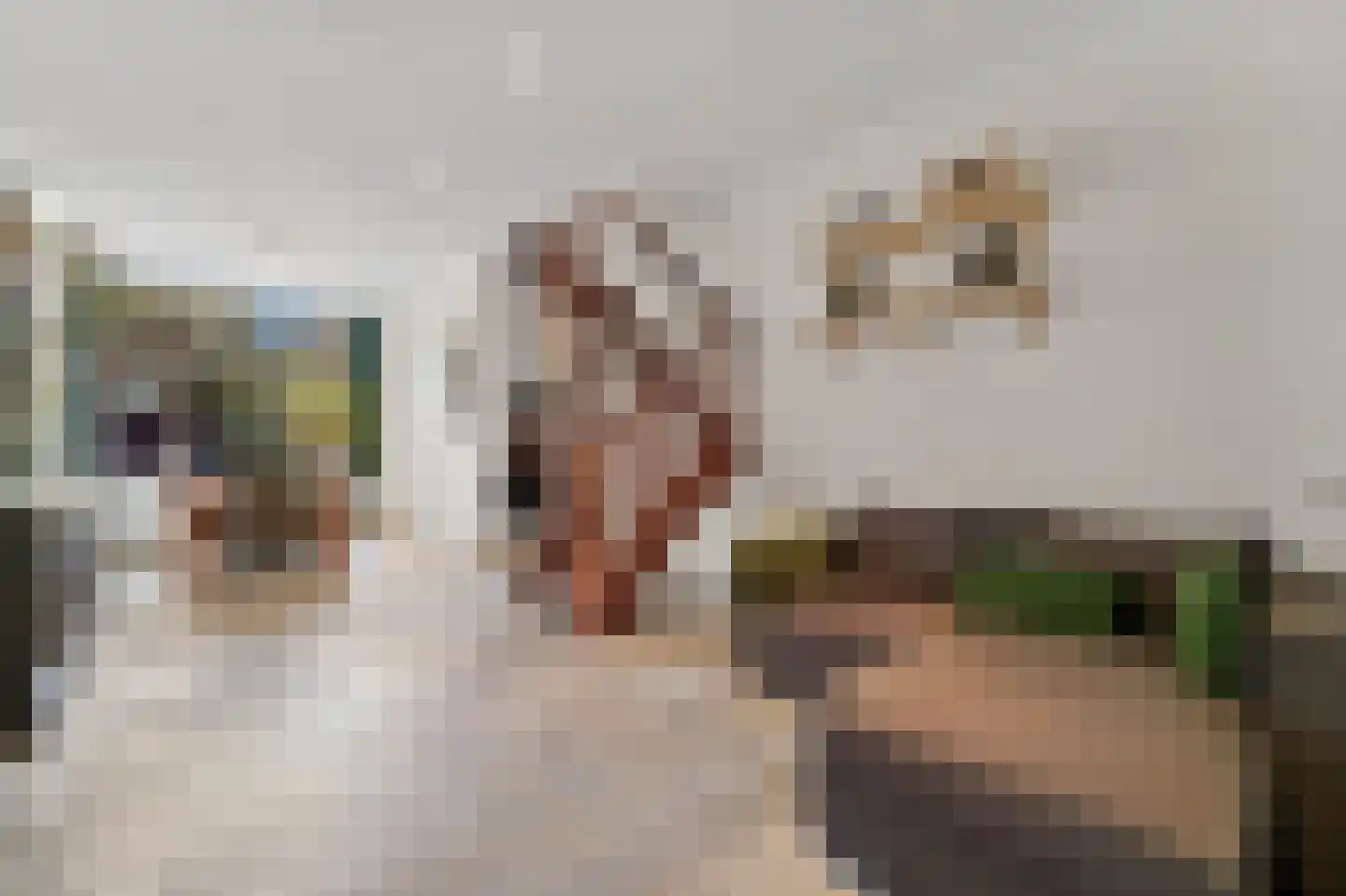 Laan van Altena 23 Delft thumbnail 4